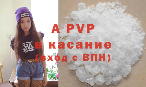 молекула духа Новокубанск