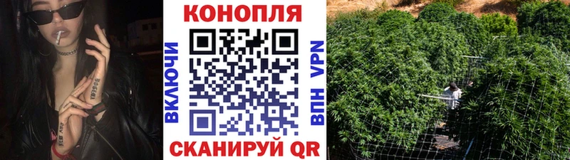 Купить  Ряжск  Шишки марихуана марихуана 